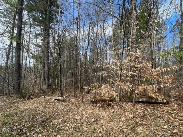 331 Shaw Rd Photo 21
