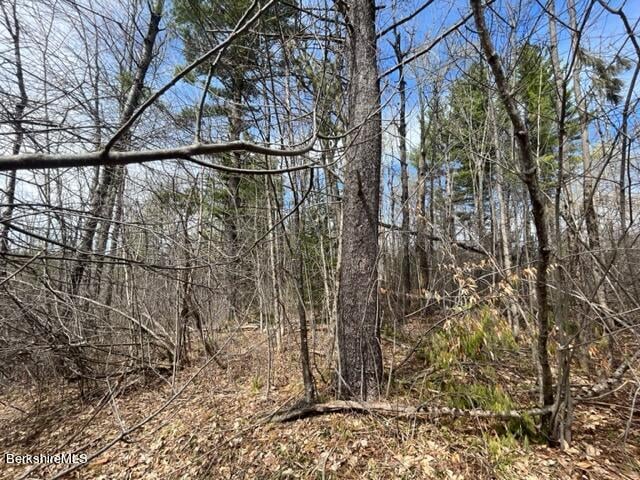 331 Shaw Rd Photo 22