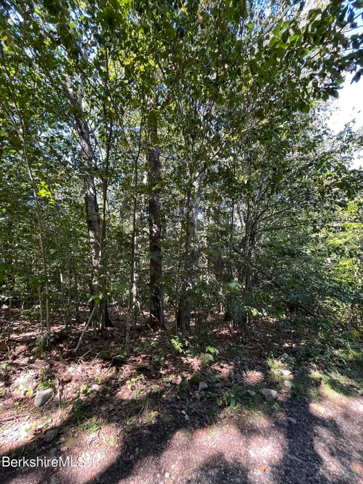 0 Norwalk Acres Rd Photo 2