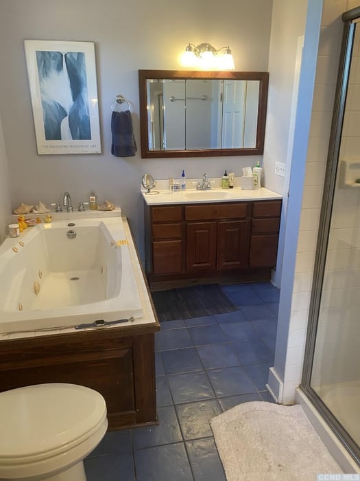 253 253 Carpenter Road Photo 20