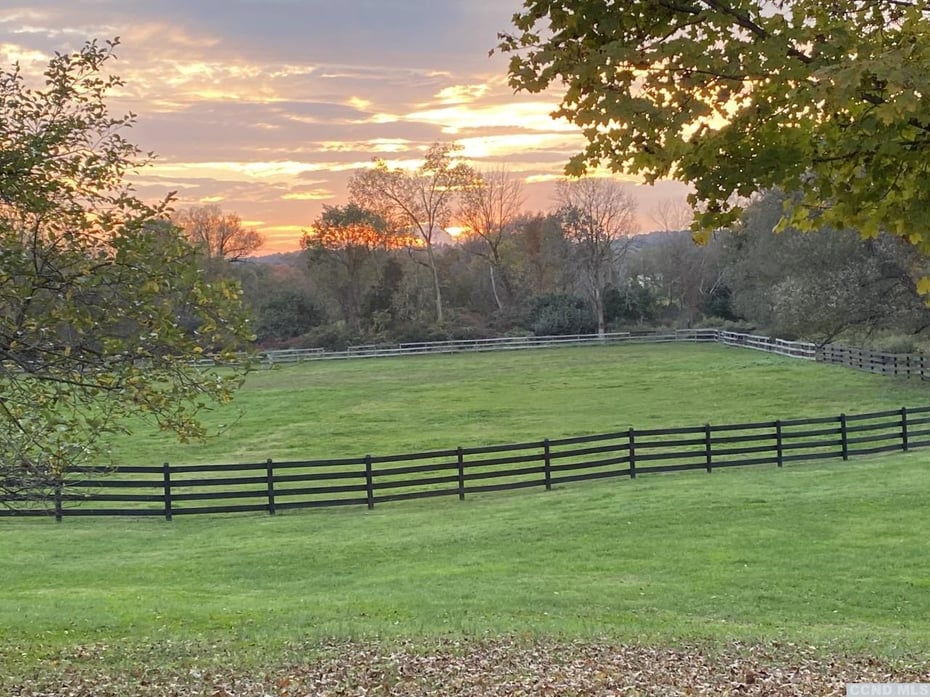 253 253 Carpenter Road Photo 42