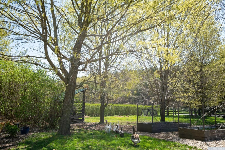 253 253 Carpenter Road Photo 44