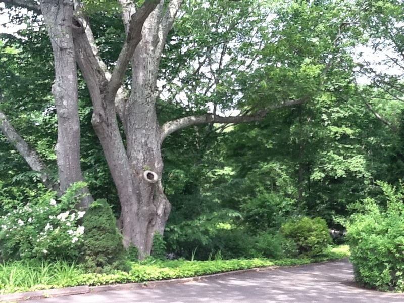55 Deer Run Road Photo 18