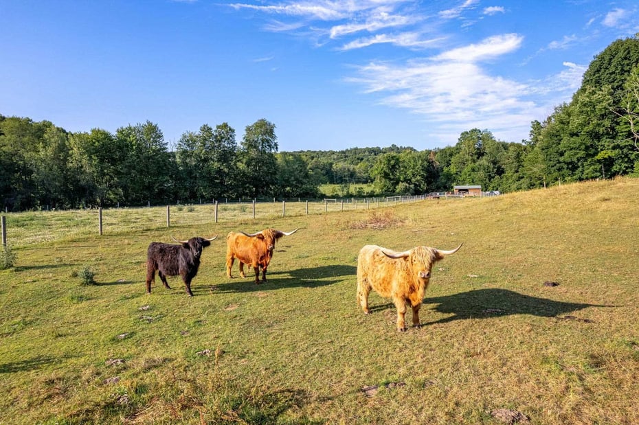 1175 County Route 27a Photo 21