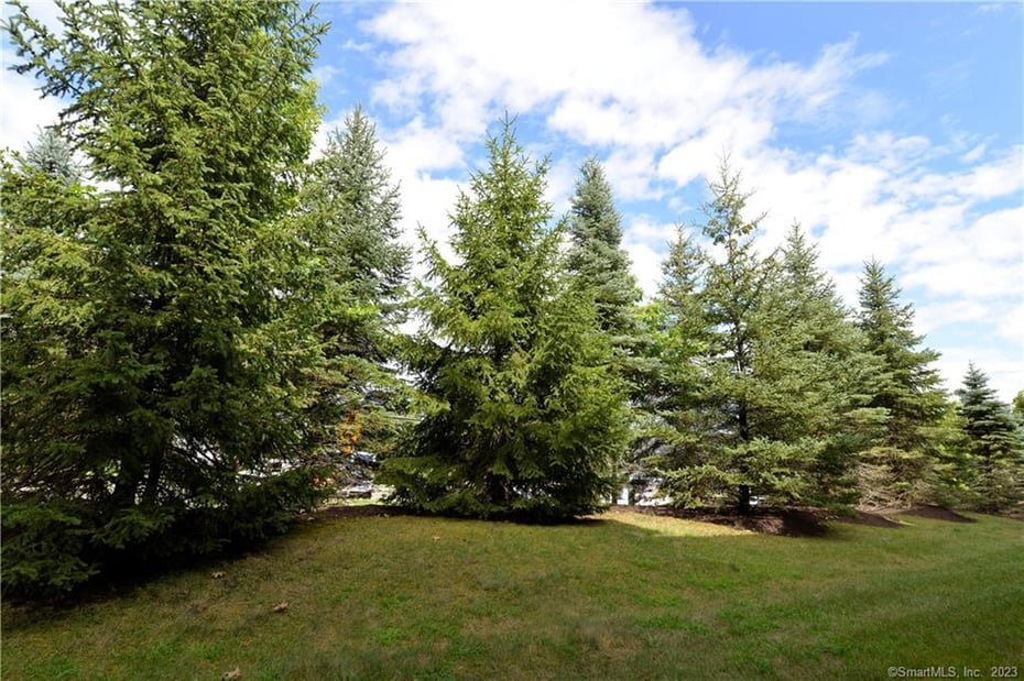 12 Clapboard Ridge Road #2 Photo 23