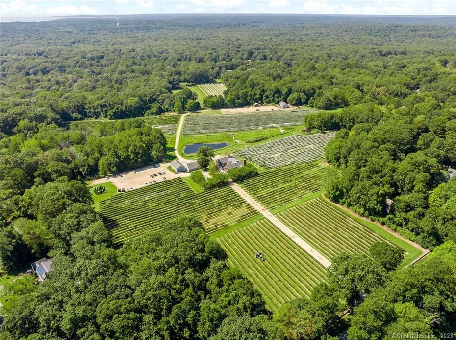 115 Cow Hill Road Photo 2