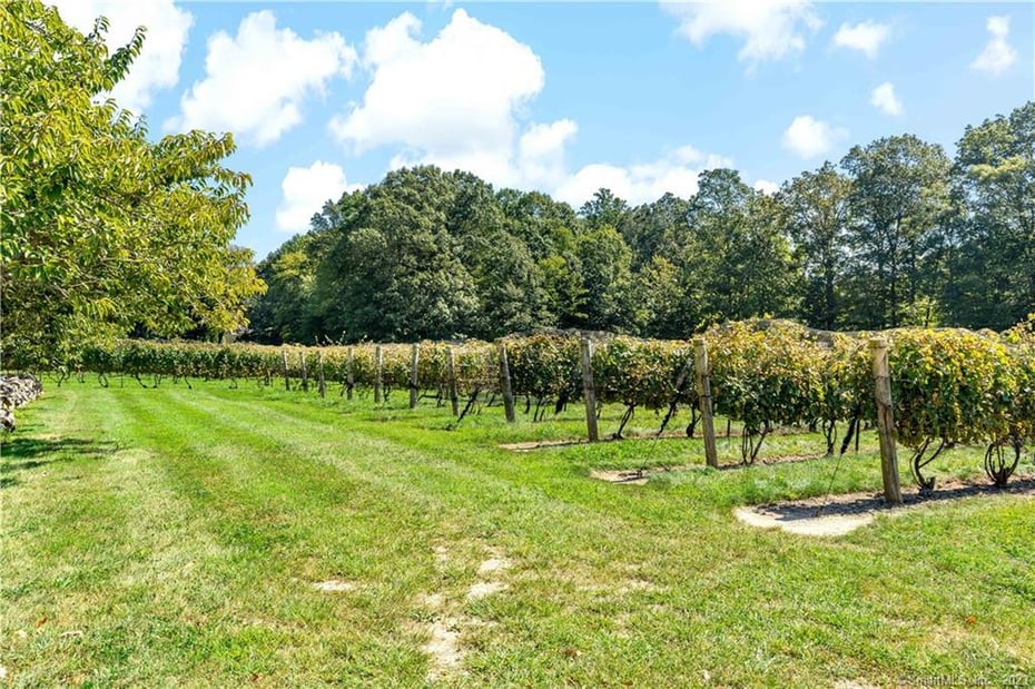 115 Cow Hill Road Photo 12