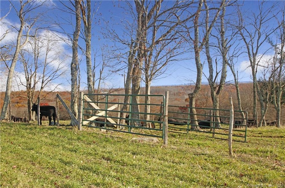 1 Woodchuck Lane Photo 25