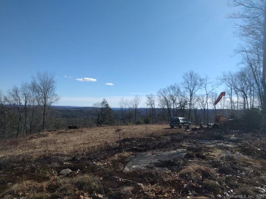 99 Old Yellow Mountain Road Photo 3