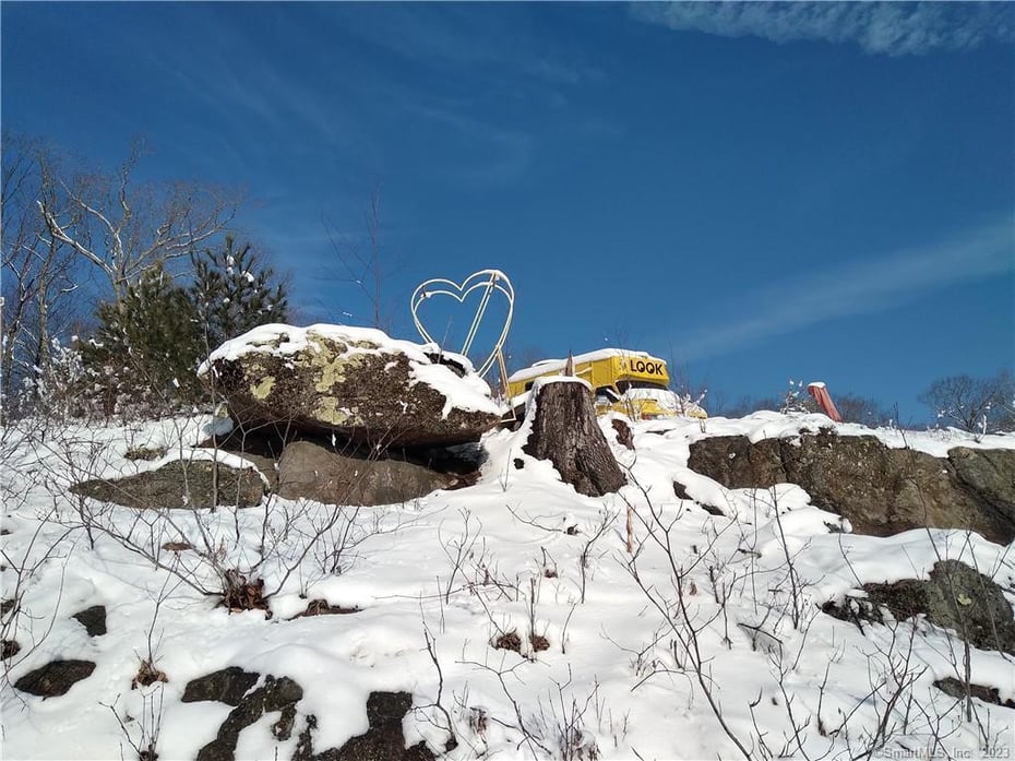 99 Old Yellow Mountain Road Photo 7