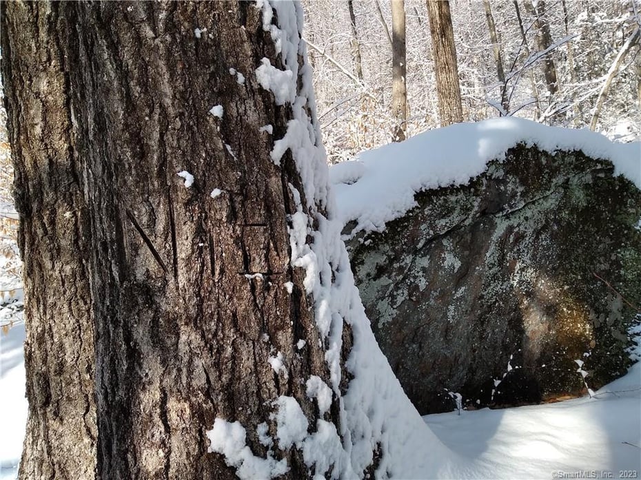 99 Old Yellow Mountain Road Photo 8