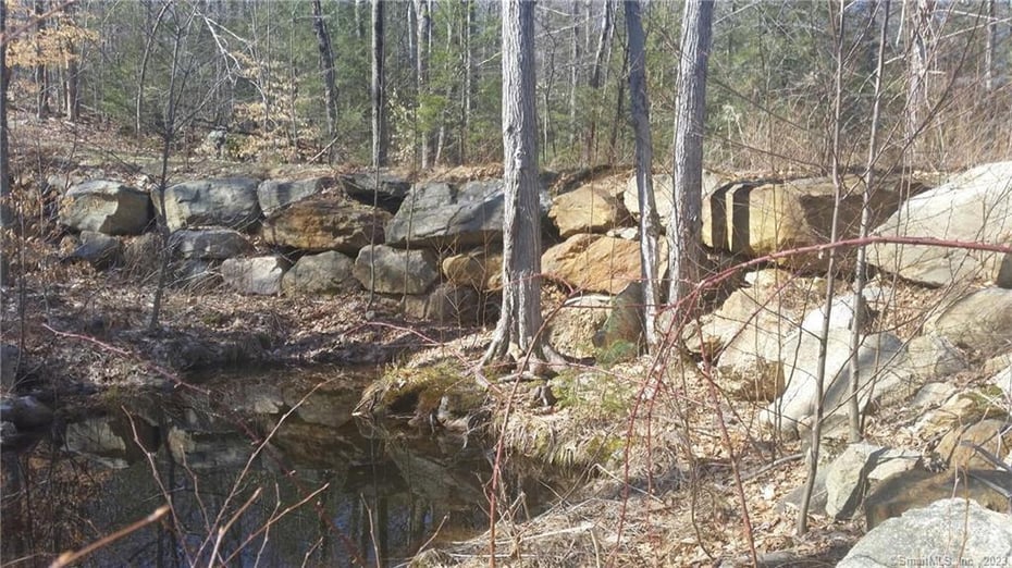 99 Old Yellow Mountain Road Photo 9