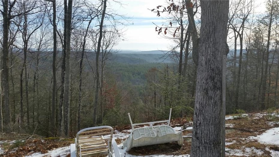 99 Old Yellow Mountain Road Photo 10