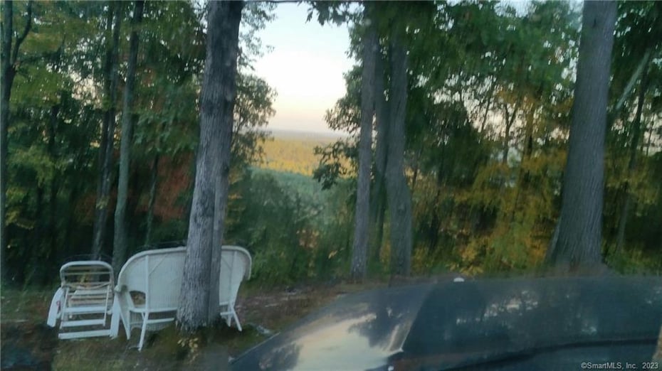 99 Old Yellow Mountain Road Photo 11