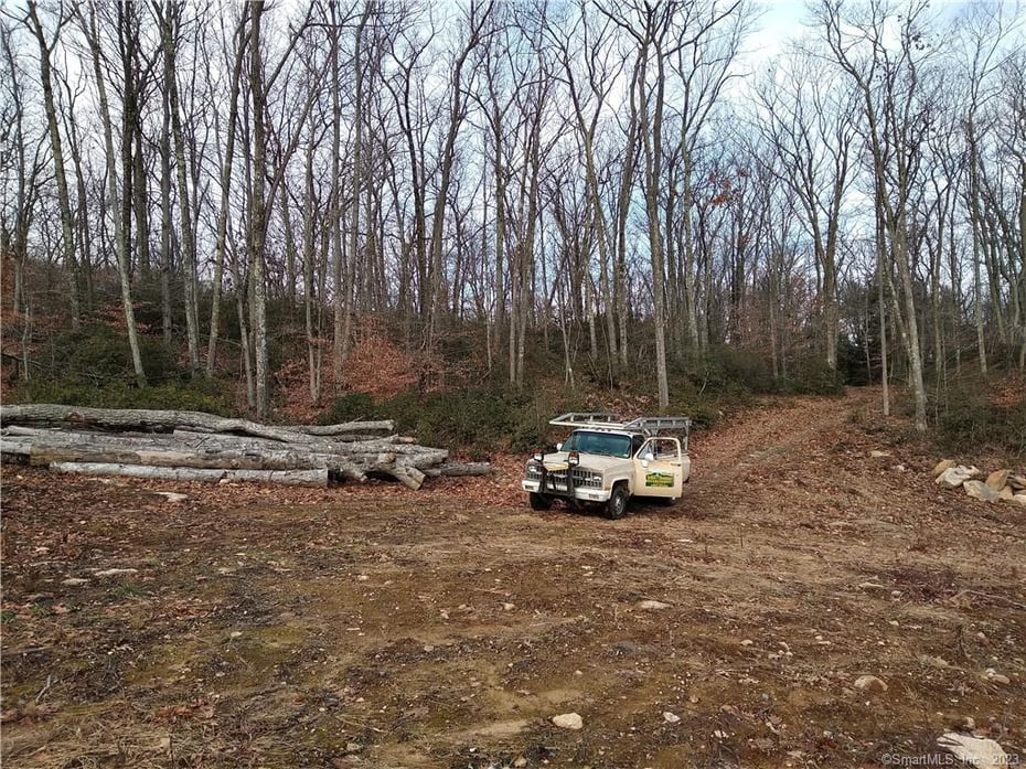 99 Old Yellow Mountain Road Photo 14