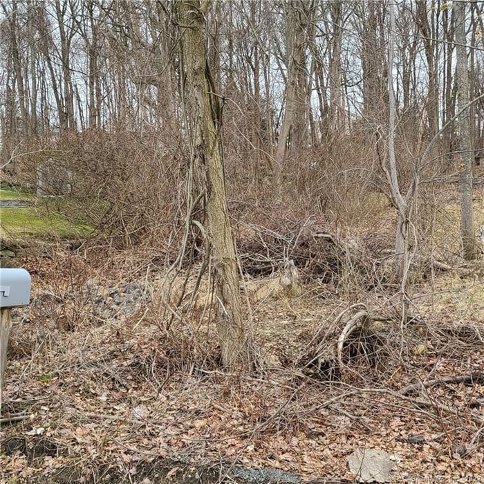 24 Hillandale Road Photo 2