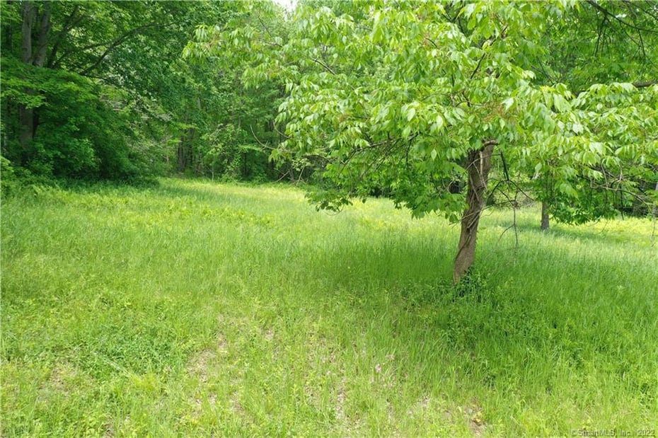 96 Stoddard Road Photo 2