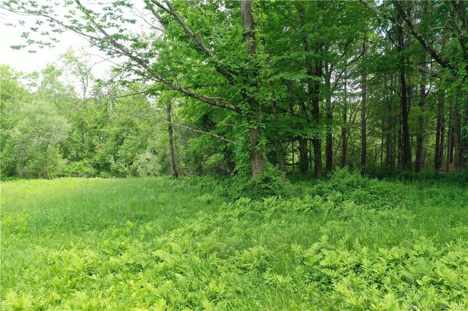96 Stoddard Road Photo 4