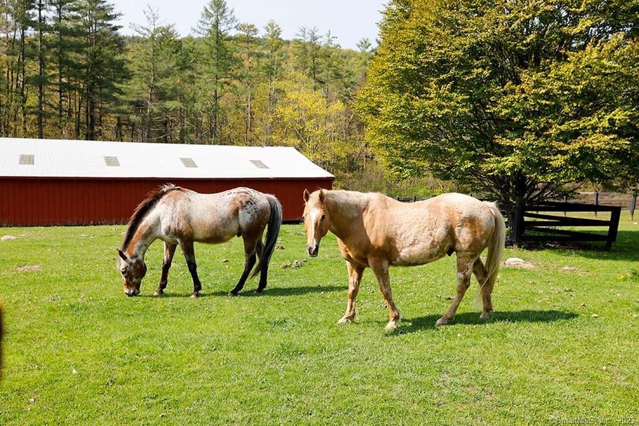 New Marlborough Single Family Photo 36