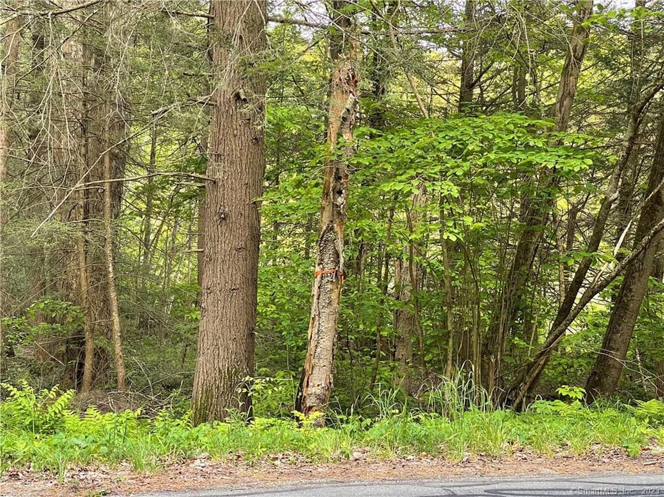 408 Niles Road Photo 2