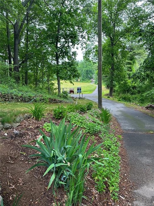 223 River Road Photo 5