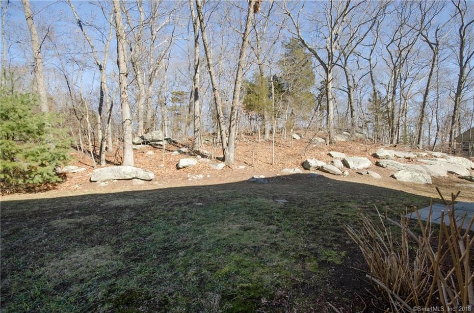 92 Old Nod Road #Rear Photo 36