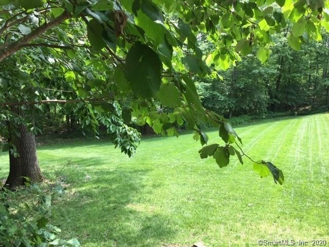 44 Tuttle Court Photo 45