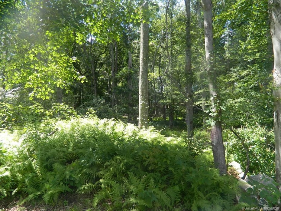 39 Buttonball Road Photo 9