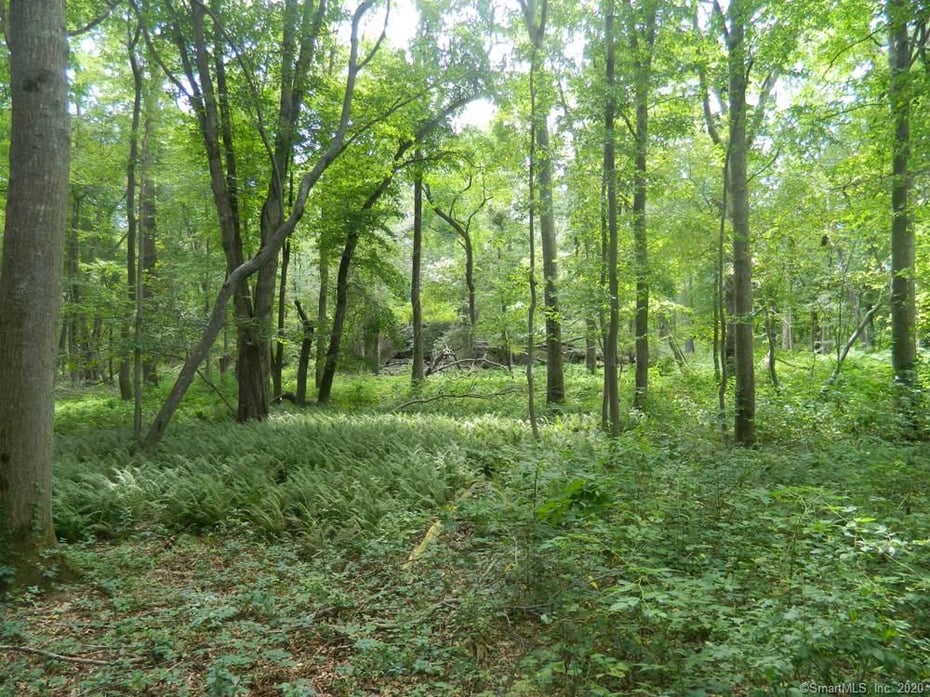 39 Buttonball Road Photo 13