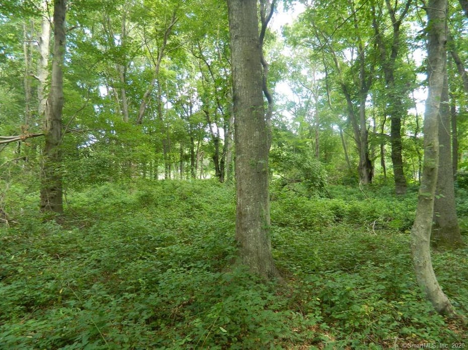39 Buttonball Road Photo 14