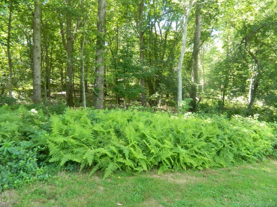 39 Buttonball Road Photo 15