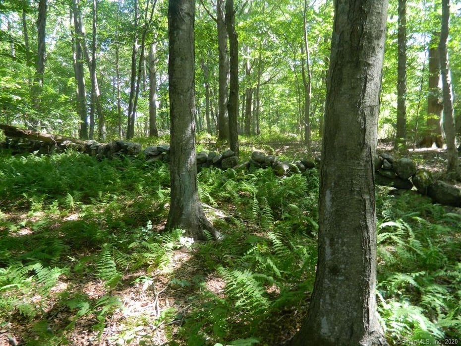 184 Shore Road Photo 1