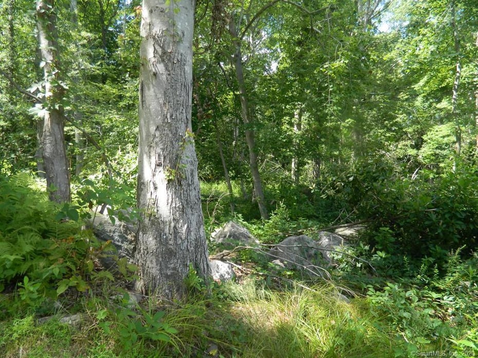 184 Shore Road Photo 2
