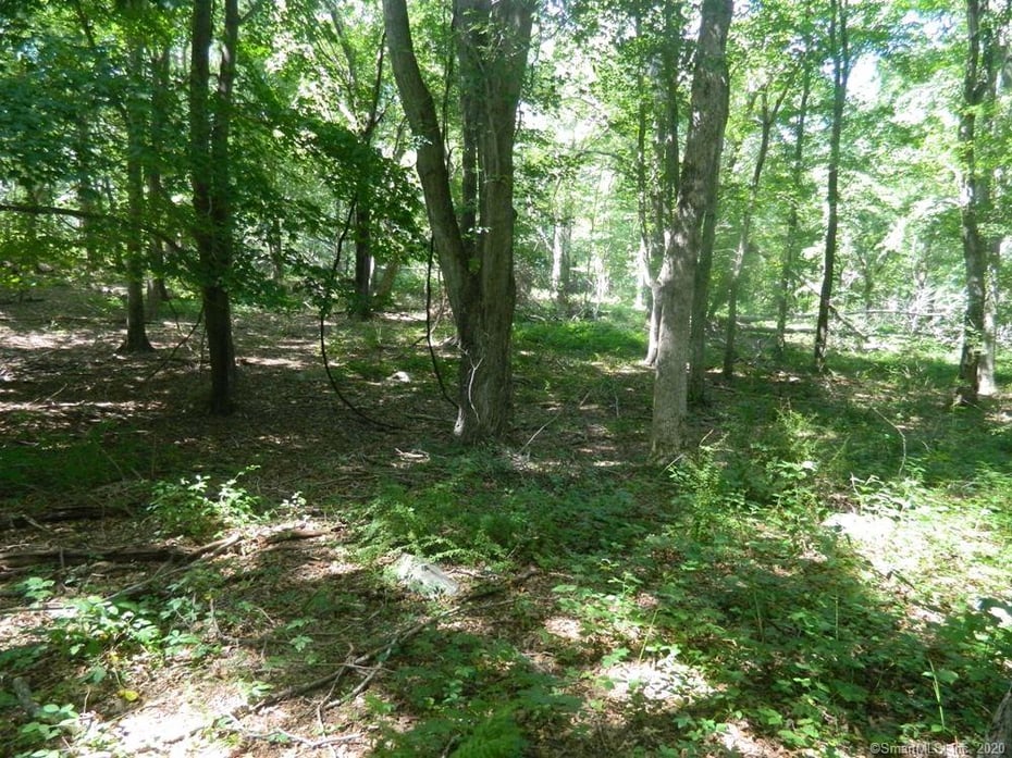 184 Shore Road Photo 4