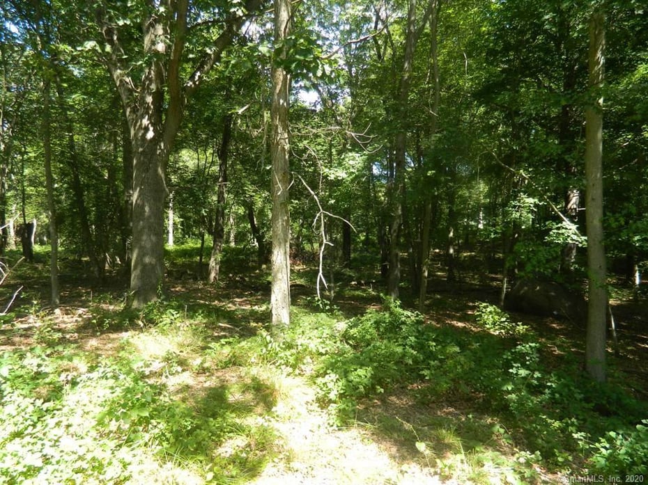 184 Shore Road Photo 5