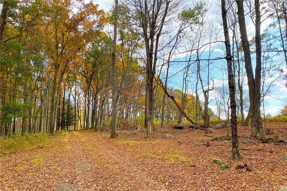 0 Route 171 Photo 22