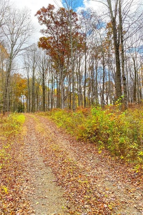 0 Route 171 Photo 25