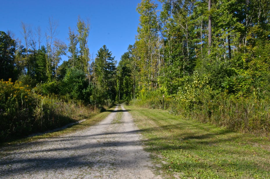 4 Madisons Way Photo 43