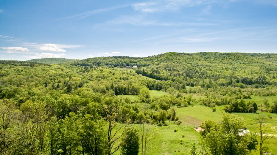 75-77 Main Rd Photo 50