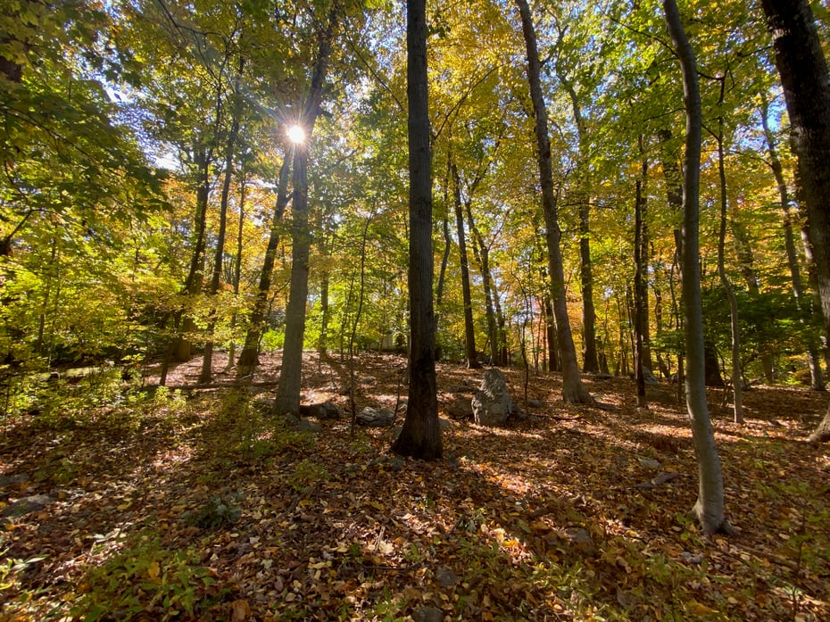 71 Crooked Trail Road Photo 3
