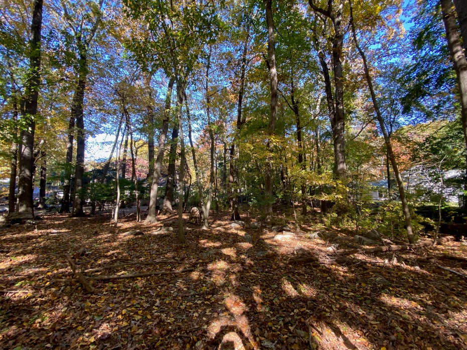 71 Crooked Trail Road Photo 21