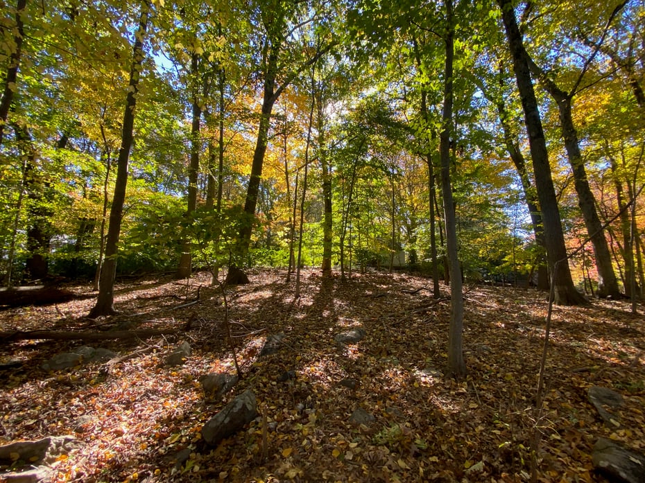 71 Crooked Trail Road Photo 20