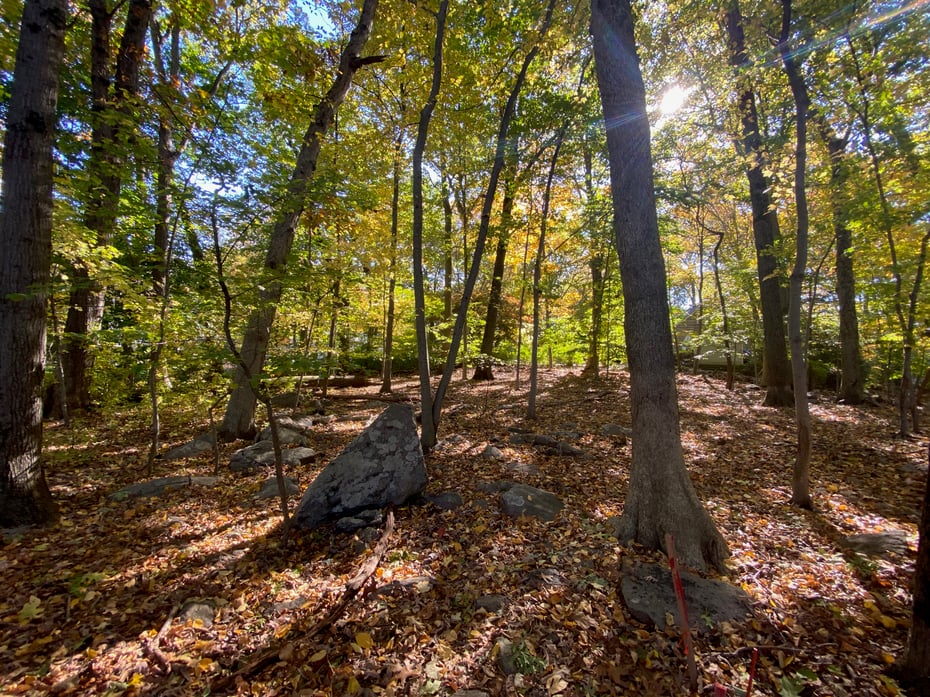 71 Crooked Trail Road Photo 4