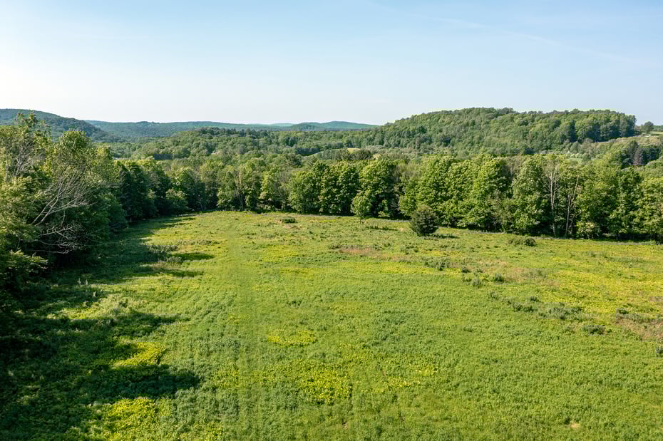 160 Kenyon Road Photo 9