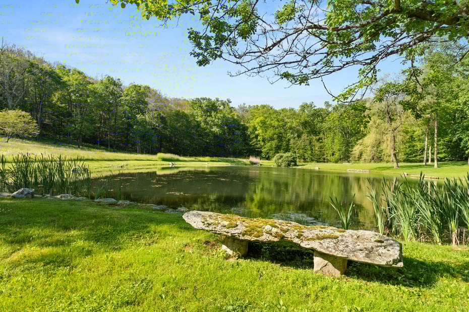 19 Nodine Pasture Road Photo 28