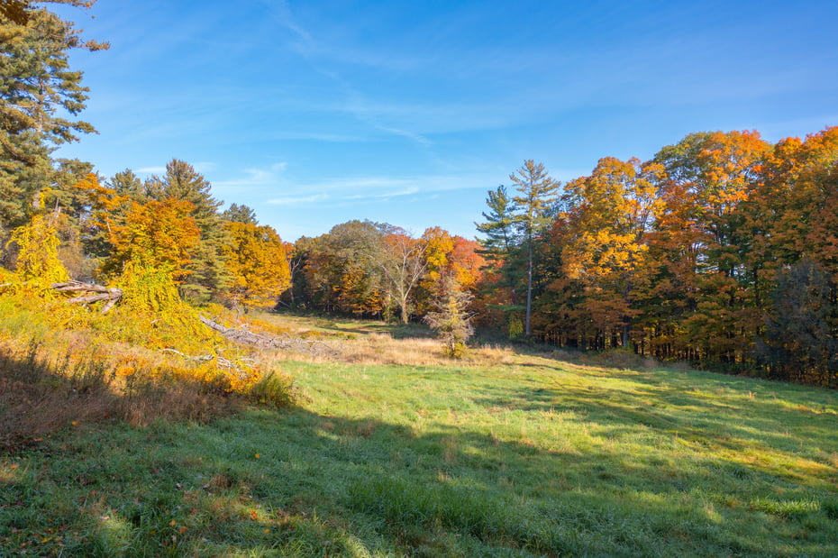 Fenn Farm And Rear Cherry Rd Photo 17