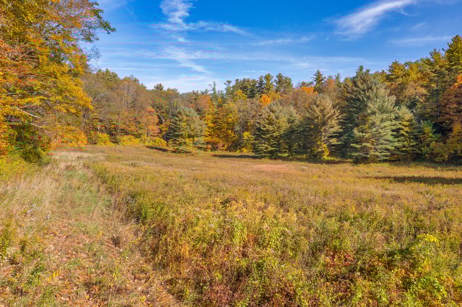 Fenn Farm And Rear Cherry Rd Photo 18