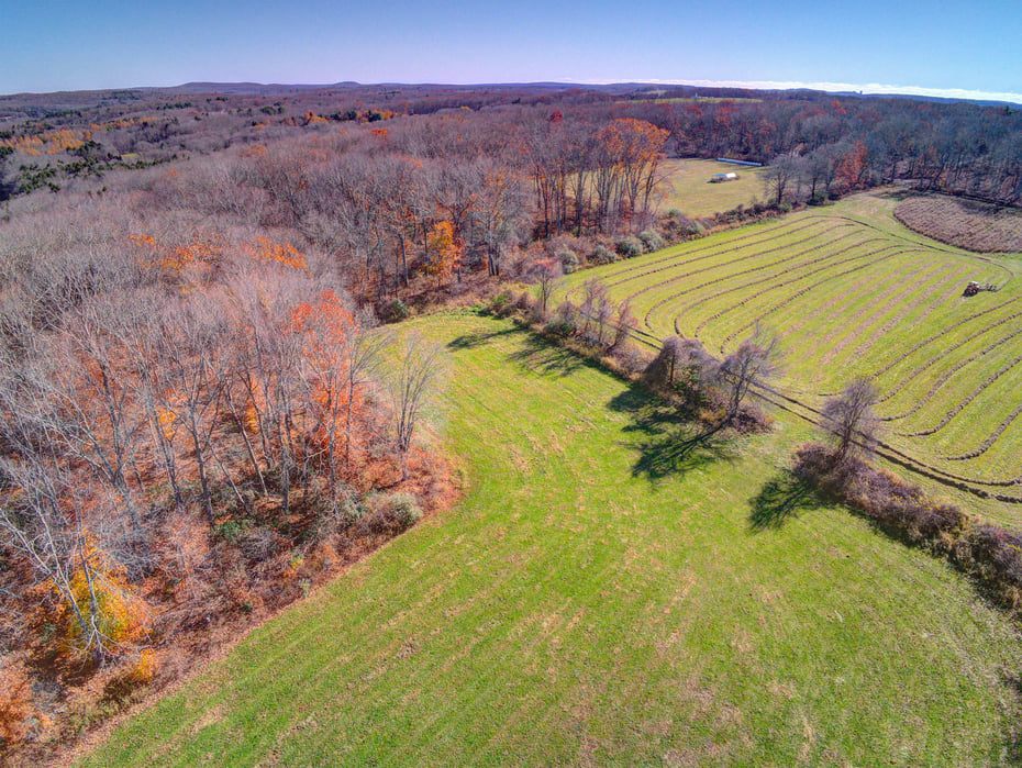 115 River Road Photo 2