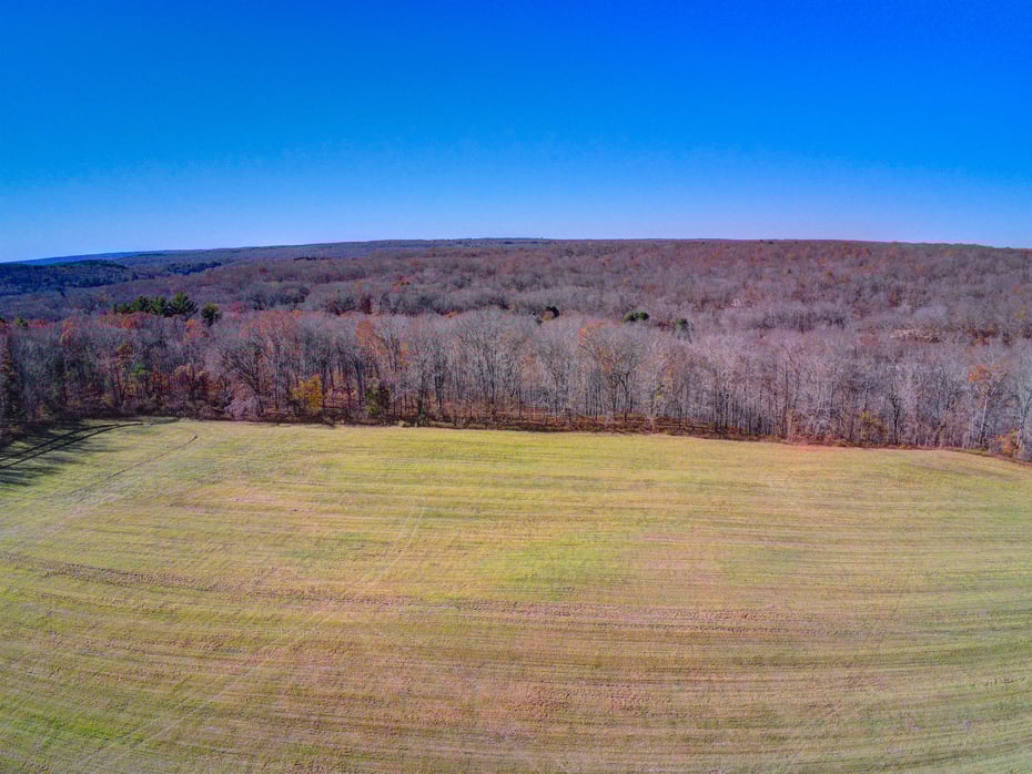 115 River Road Photo 4
