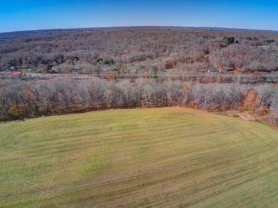 115 River Road Photo 5